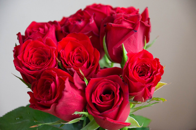 おめでとうございます